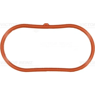 Immagine di REINZ 71 34207 00 Guarnizione Collettore Aspirazione AUDI: A4 B7 Avant, B6 B6/B7 Cabrio, VOLKSWAGEN: Passat B5 GP Variant