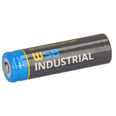 Immagine di WSB batteria solare Mignon AA ricaricabile, 3,2 V, 1,92 Wh, LiFePo4, ad alte prestazioni, specifica per lampade solari, luci solari