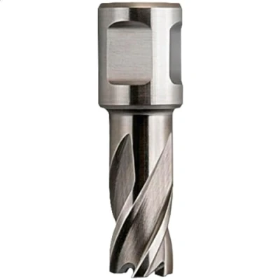 Immagine di Fein HSS Nova 25 63134120051 Punta di foratura 12 mm 1 pz.