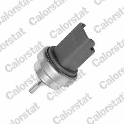 Immagine di CALORSTAT by Vernet WS3015 Sensore Temperatura Refrigerante PEUGEOT: 207 Hatchback, 206 SW, CITROËN: C3 II, C4 II Hatchback