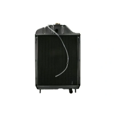 Immagine di Radiatore, Raffreddamento motore THERMOTEC D7AG165TT