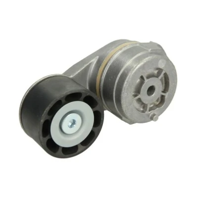 Immagine di Braccio tenditore, Cinghia Poly V BTA B05 AG 011