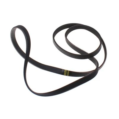 Immagine di Fagor / brandt Cinghia poly v 1161 j5 elastica 55X2987