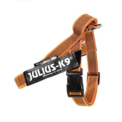 Immagine di Julius K9 Pettorina Nastro, Colore &amp; Gray Size: Mini, Arancione 1 unità 600 g