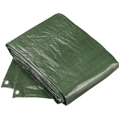 Immagine di Sunflower FLOR80410 Telo di Protezione, 4 x 5 mt, 100 g