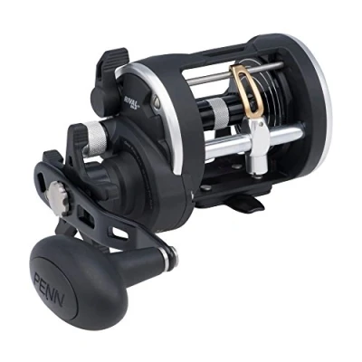 Immagine di Penn Rival Level Wind 30LWLH Bobina da pesca in mare Mulinello rotante