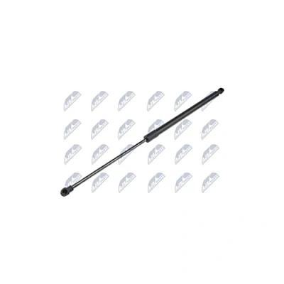 Immagine di NTY AE CT 044 Pistoncini portellone 420 549 CITROËN: C3 Picasso