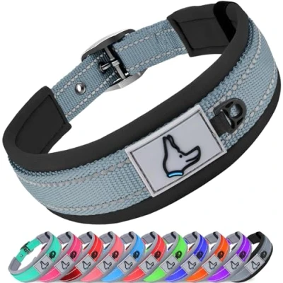 Immagine di Joytale Collare Cane, Catarifrangente Collari per Cani Regolabile con Imbottitura, Cane Taglia Piccola, Grigio, S
