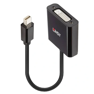 Immagine di LINDY Monitor Adattatore [1x Spina Mini DisplayPort 1x DVI] 41736 0.16 m