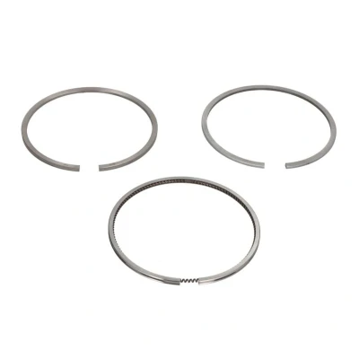 Immagine di KOLBENSCHMIDT 800046210000 Kit Fasce Elastiche 102