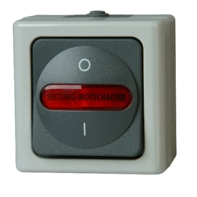 Immagine di Kopp 562356009 1 pezzo Interruttore per ambienti umidi Completo di emergenza riscaldamento BlueElectric Grigio