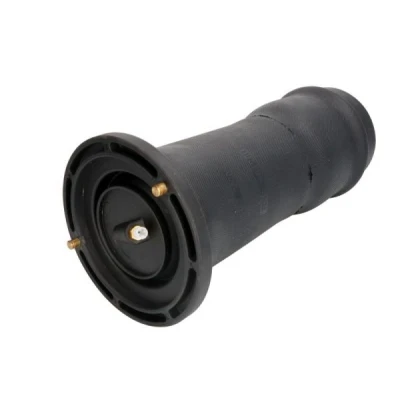 Immagine di Magnum Technology MZL001MT Gamba elastica con ammortiz. pneumatico Assale posteriore Sx, Dx