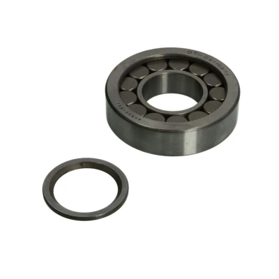 Immagine di Cuscinetto, albero di ingresso (differenziale) DT Spare Parts 2.35026