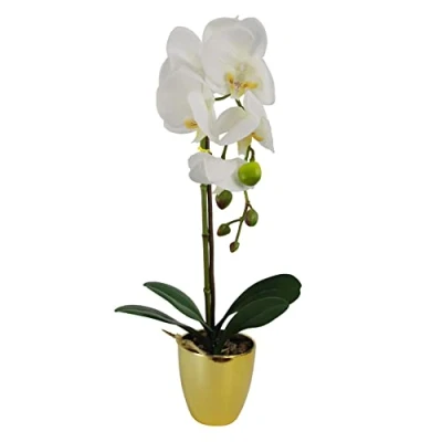 Immagine di Leaf Design UK Orchidea artificiale realistica in vaso, 80 cm