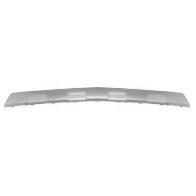 Immagine di Striscia di rivestimento/protezione, paraurti BLIC 6502 07 5029921P