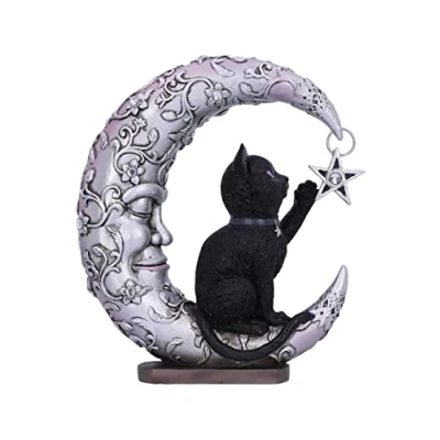 Immagine di Nemesis Now Luna Companion Statuetta decorativa, 18,8 cm, colore: Argento