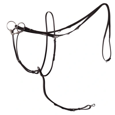 Immagine di BR Thiedeman Rein Lancaster Pony Nero / Argento