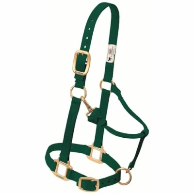 Immagine di Weaver Leather Original Adjustable Nylon Horse Halter, Weanling/Pony, Verde Cacciatore