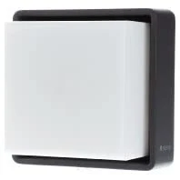 Immagine di STEINEL L 845 SC applique LED esterni con sensore