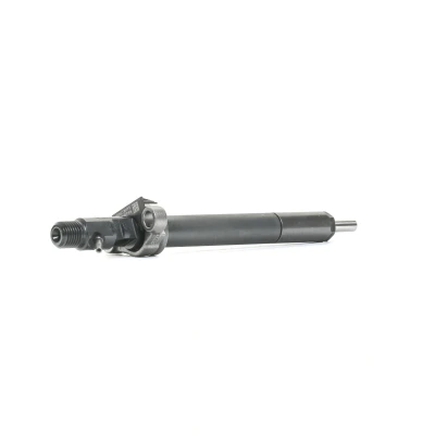 Immagine di DELPHI R06001D Supporto polverizzatore