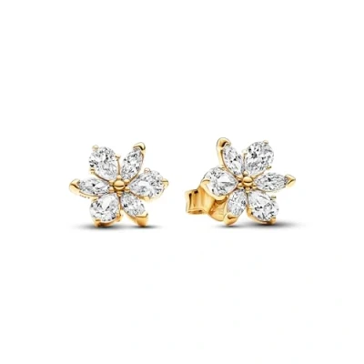 Immagine di Pandora Timeless Orecchini Placcatura in oro 14 carati 262633C01