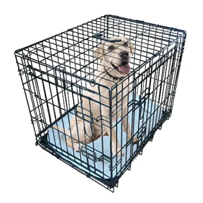 Immagine di Ellie Bo Gabbia per cani da piccola a grande, casse pieghevoli cuccioli con cuscino, vassoio rimovibile in metallo non masticabile argento pieghevole 2 porte, dimensioni extra large 107 cm, nero
