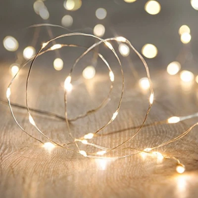 Immagine di Lights4fun Filo di 50 Micro LED Bianco Caldo a Pile su Cavo Metallico Argento