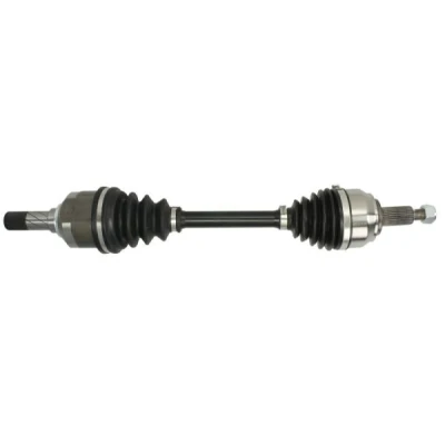 Immagine di Albero motore/Semiasse PASCAL G2R095PC