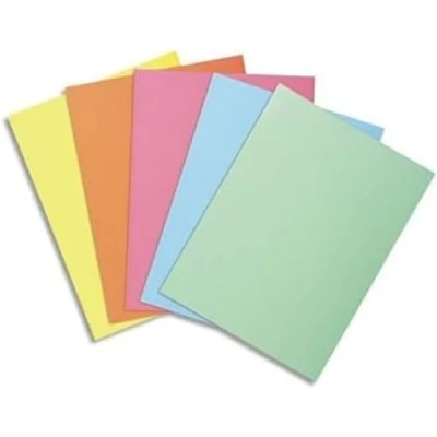 Immagine di Exacompta Cod. 850000E 1 Confezione da 250 cartellette semplici SUPER 60 Cartoncino g/mq certificato PEFC Formato 22x31cm per A4 Colori random