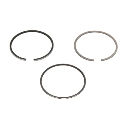 Immagine di GOETZE ENGINE 08 425600 00 Kit Fasce Elastiche 69,6 FIAT: Grande Punto Hatchback, Evo Doblo II Van / Station Wagon