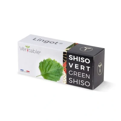 Immagine di Véritable Lingot® Shiso Verde BIO Compatibile con Orti Interni Exky® Ricarica pronta all&#039;Uso Substrato Semi Integrati
