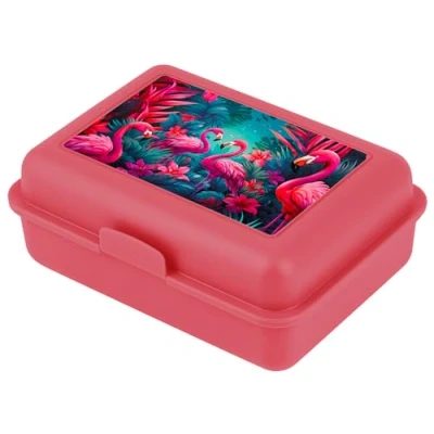 Immagine di Baagl Contenitore per il pranzo bambini, la scuola, pranzo, ragazze, ragazzi, asilo, pane, lo snack (fenicotteri)