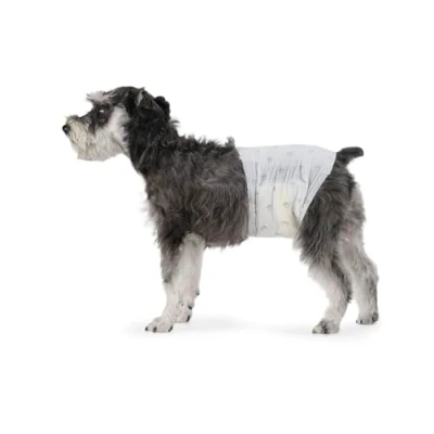 Immagine di Amazon Basics, Pannolini USA e Getta per Cani Maschi M, Confezione da 50, Bianco