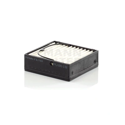 Immagine di MANN FILTER PU 8018 filtro Carburante Cartuccia