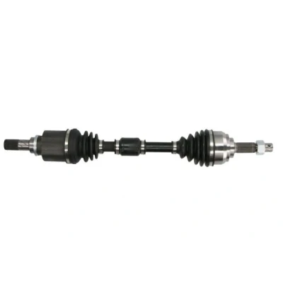 Immagine di Albero motore/Semiasse PASCAL G21044PC