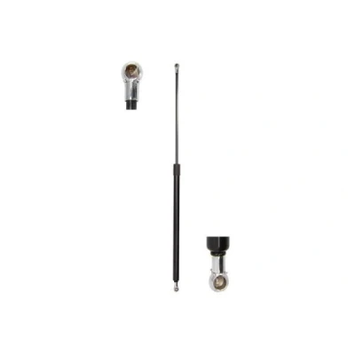 Immagine di Molla a gas, vano bagagli/carico MAGNUM TECHNOLOGY MGS8004