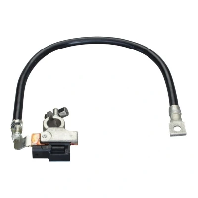 Immagine di HELLA 6PK 010 562 941 Sensore, Management batteria