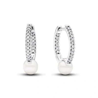 Immagine di Pandora Timeless Auricolari Argento 293171C01