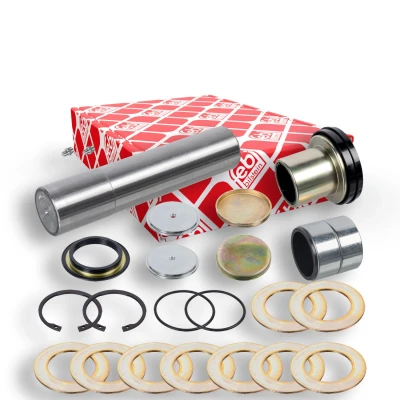 Immagine di FEBI BILSTEIN 171302 Kit riparazione, Perno fuso a snodo