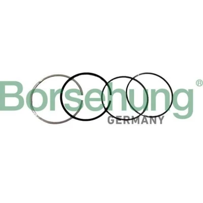 Immagine di Kit fasce elastiche Borsehung B10371