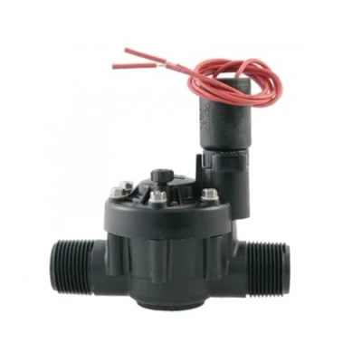 Immagine di Elettrovalvola Toro TPV Diam. 1&quot; 24 Volt