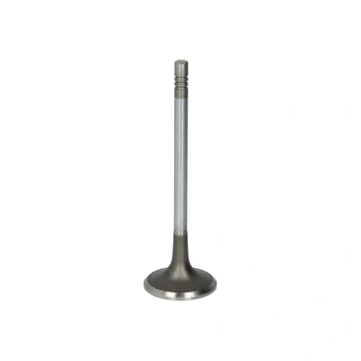 Immagine di FRECCIA R6726/SCR valvola Aspirazione 30,15 stelo cromato, Terminale temprato PEUGEOT: 208 I Hatchback, 207 Hatchback mister