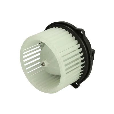 Immagine di Soffiante interna THERMOTEC DD0506TT
