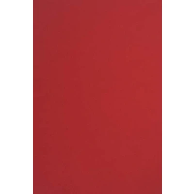 Immagine di Netuno 20x carta colorata rosso formato A4 210 x 297 mm 170g Sirio Color Lampone cartoncini colorati da stampare zucchero rossa qualità per lavoretti natalizi inviti partecipazioni