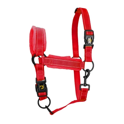 Immagine di Excellent Cavezza superiore per cavalli XS Rosso