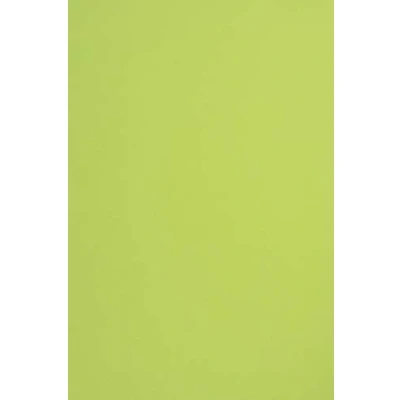 Immagine di Netuno 100x carta colorata verde chiaro formato A4 210 x 297 mm 115g Sirio Color Lime da stampare zucchero qualità per lavoretti natalizi scrapbooking origami