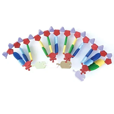 Immagine di Molymod Modello di RNA, 24 basi, kit miniDNA