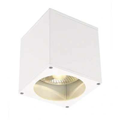 Immagine di SLV 229551 Big Theo Lampada a soffitto per esterni Lampadina Alogena, LED (monocolore) GU10 75 W Bianco