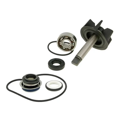 Immagine di VICMA 8000 Kit riparazione, Pompa acqua