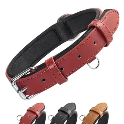 Immagine di Grand Line Collare per Cane in Pelle, Largo e Spesso Cani con Imbottitura Morbida, Regolabile Comodo Collari di Taglia Piccola, Media Grande (Rosso, L)